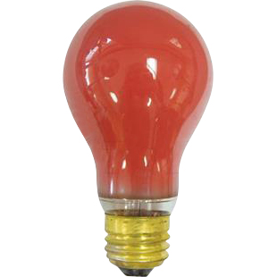 BULB - 25W RED CERAMIC