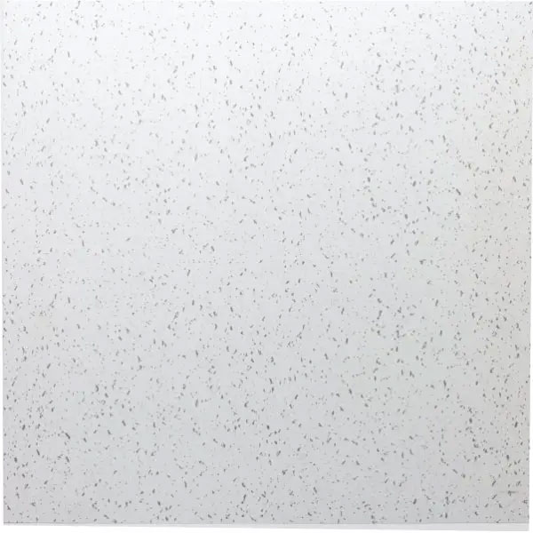 TILE - CEILING 2 X 2 CASE