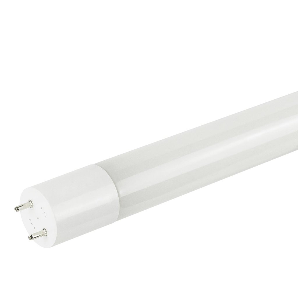 BULB - 8W LED T8 40K 120V