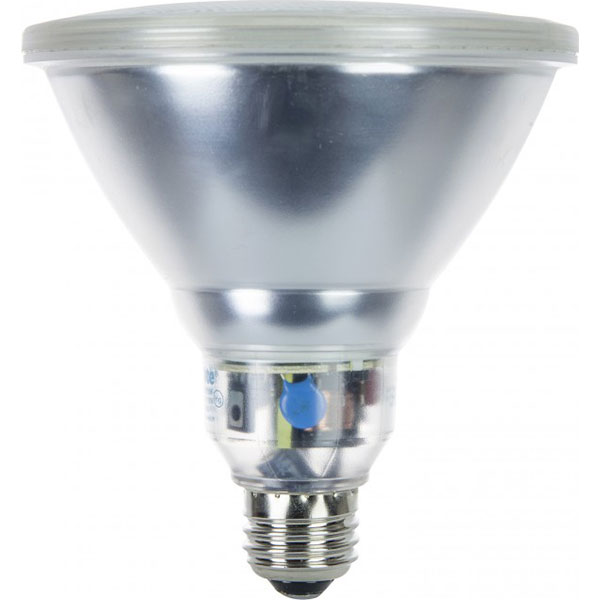BULB - 23W PAR38/30K