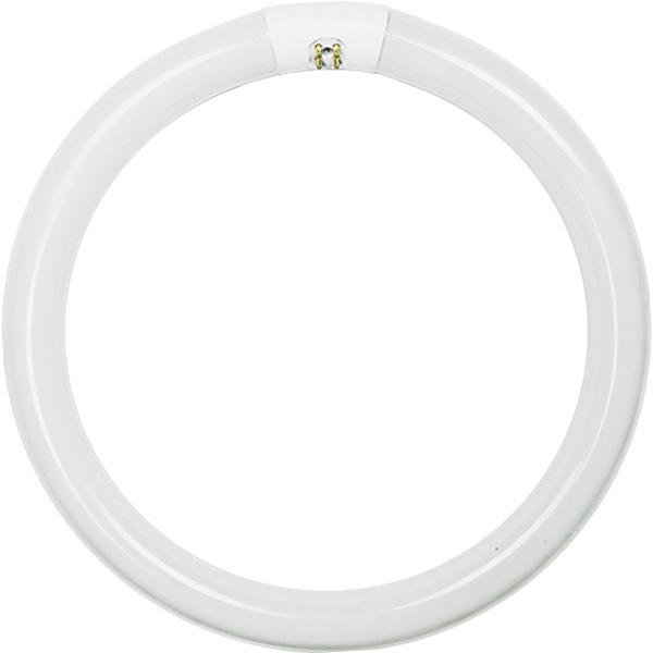 BULB - 32W T9 CIRCLINE CW PHIL.