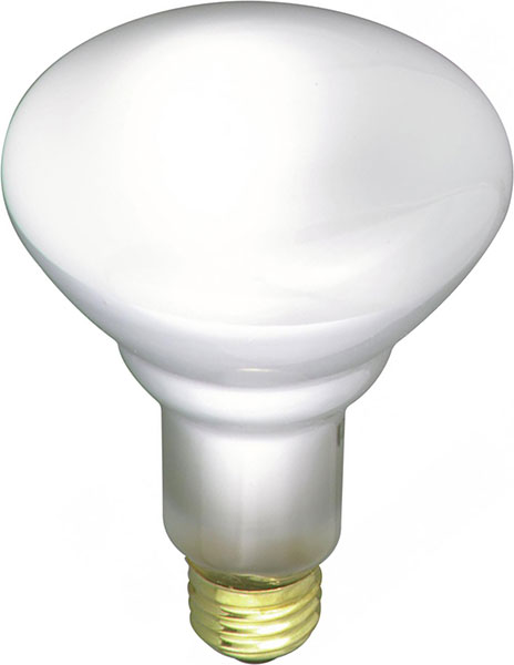 BULB - 50W BR30
