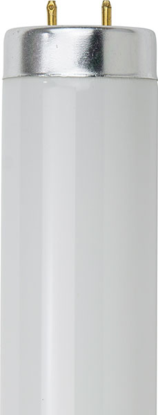 BULB - FLUORESCENT F15T12/841