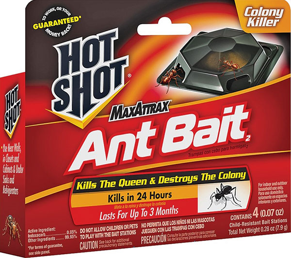 ANT TRAP - PK/4