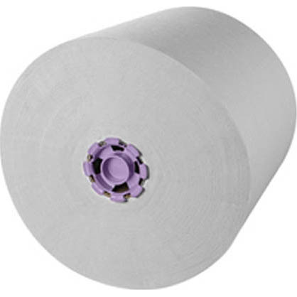 PAPER TOWEL - SCOTT HI CAPACITY