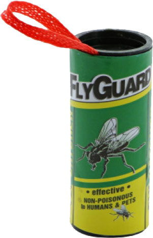 FLY PAPER - RIBBON (10 PK.)