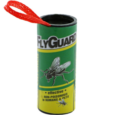 FLY PAPER - RIBBON (10 PK.)