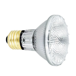 BULB - 38W PAR 20 HALOGEN