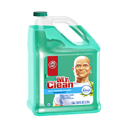 MR. CLEAN - MEADOWS GAL.